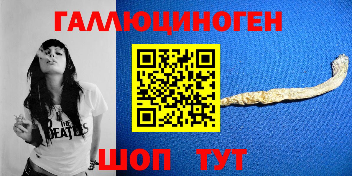 Псилоцибиновые грибы Psilocybe Урус-Мартан