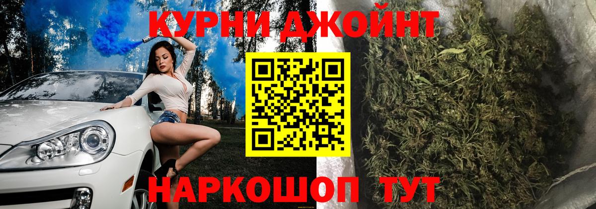 Шишки марихуана гибрид Урус-Мартан